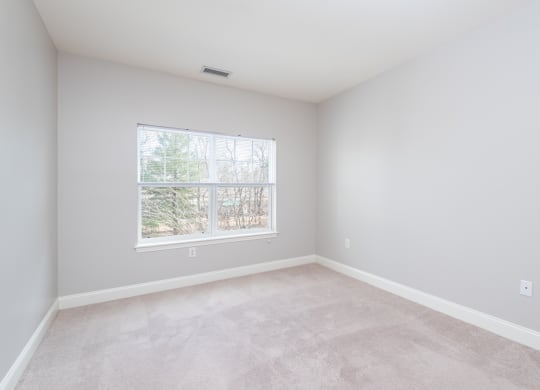 Drum Hill 2 Bedroom Apartment bedroom, with plush carpeting and large windows