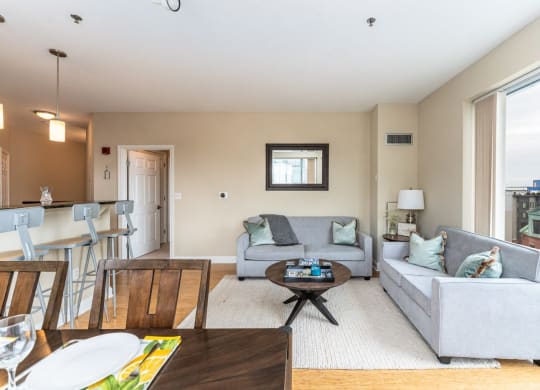 50 WB's furnished apartment showing a living room with two couches and a table and a large window