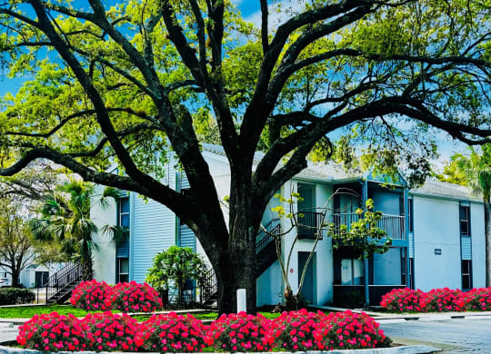 A building with a large tree in front of it at Aqua Bay Apartments in Naples, FL 34116
