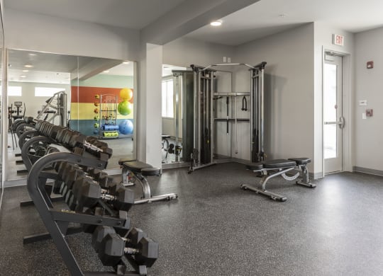 Free Weights at Wesmont, Indianapolis, Indiana