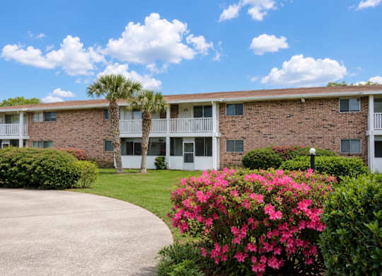 A building with a white fence and a palm tree in front.