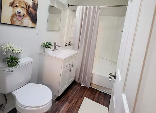 A bathroom with a toilet, sink, and a framed picture of a dog on the wall.
