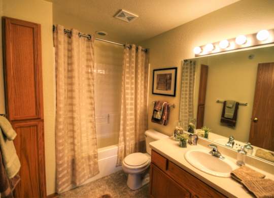 a bathroom with a sink and a toilet and a shower