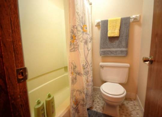 a bathroom with a toilet and a shower curtain