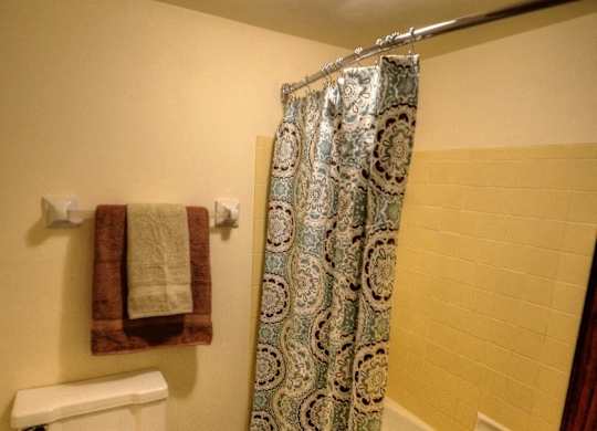 a bathroom with a toilet and a tub and a shower curtain