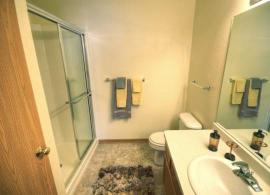 a bathroom with a shower toilet and sink and a mirror