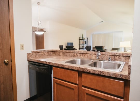 a kitchen with a sink and a dishwasher and a window