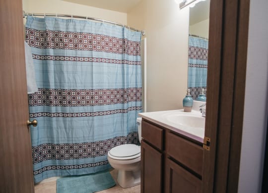 a bathroom with a shower and a sink and a toilet