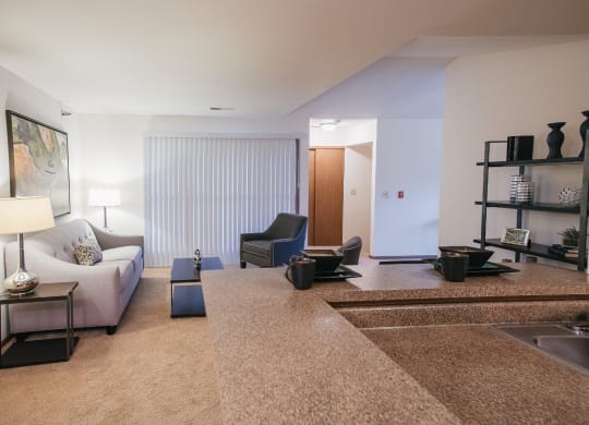 a living room with a couch and a chair and a sink