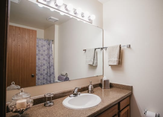 a bathroom with a sink and a large mirror
