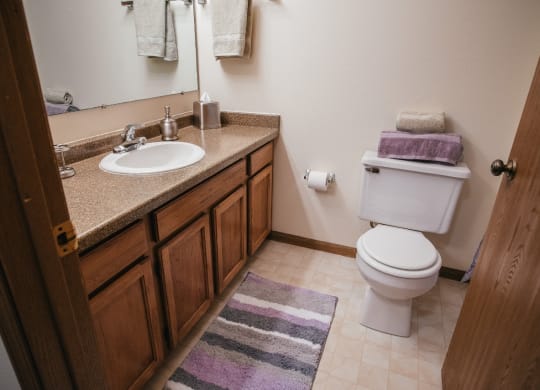 a bathroom with a sink toilet and a mirror