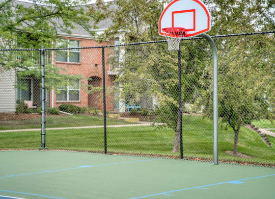 Basketball Court