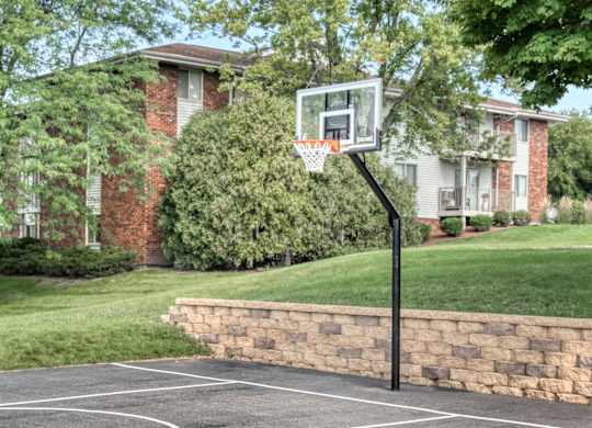 Basketball