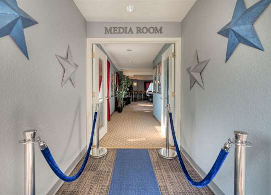 Media and game room