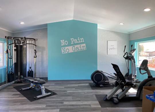 No Pain No Gain