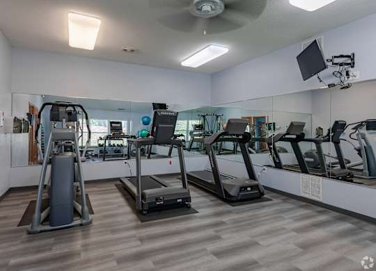 A gym with treadmills, elliptical machines, and a fan.