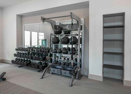 TRX system in fitness center