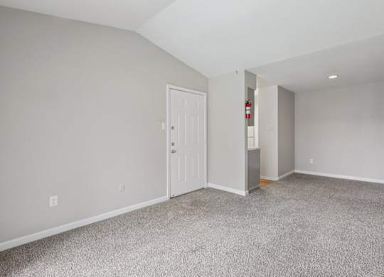 A room with a white door and carpeted floor.