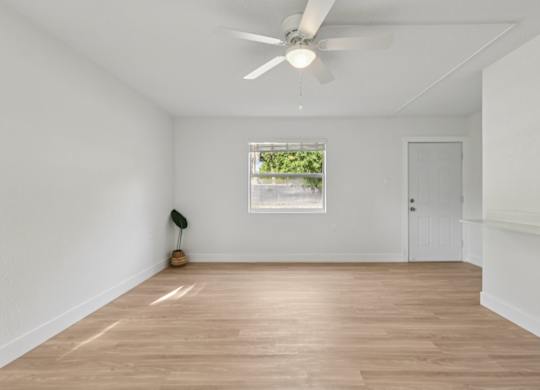 A room with a ceiling fan and a window showing greenery outside.