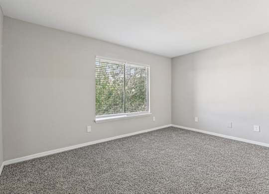 A room with a window and carpeted floor.