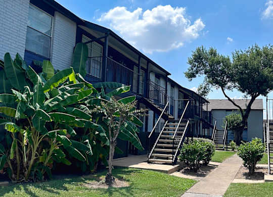 tree is in front of a white building at Crosby at Westchase Apartments, Houston, 77082