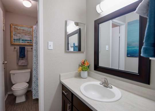 a spacious bathroom with a large vanity, mirror, ample lighting, and toilet and shower