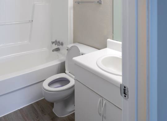 a bathroom with a toilet and a sink and a tub