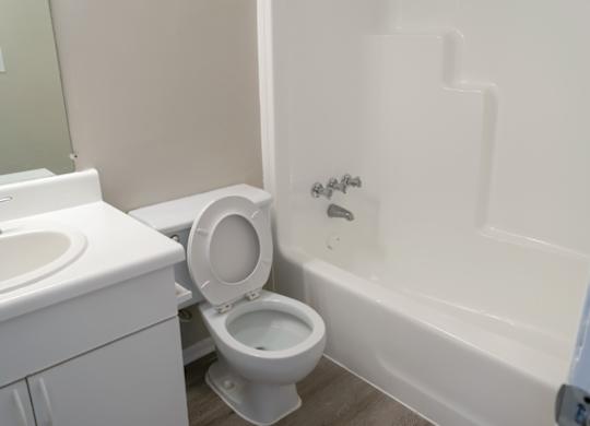 a bathroom with a toilet and a tub and a sink