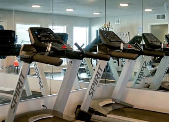 a group of treadmills in a gym