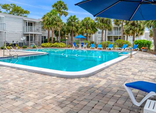 12th and beach pool and sundeck with loungers and umbrellas surrounded by palms