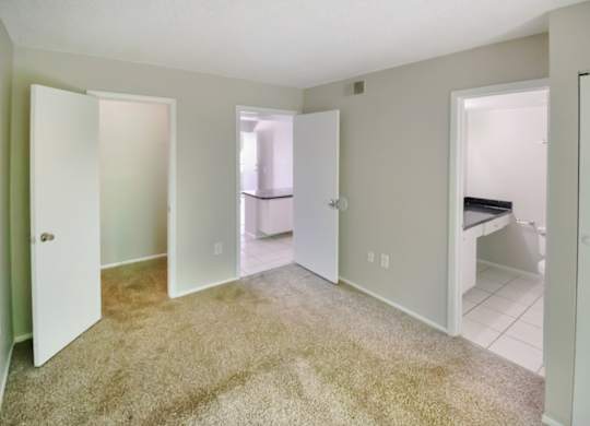 a carpeted bedroom with a closet and bathroom