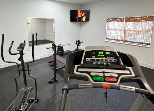 The fitness center at Haven on Canal Apartments in New Smyrna Beach, FL