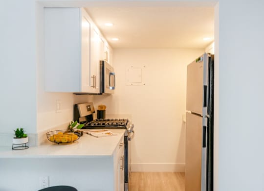 a galley kitchen with stainless steel appliances at Haven on Canal Apartments in New Smyrna