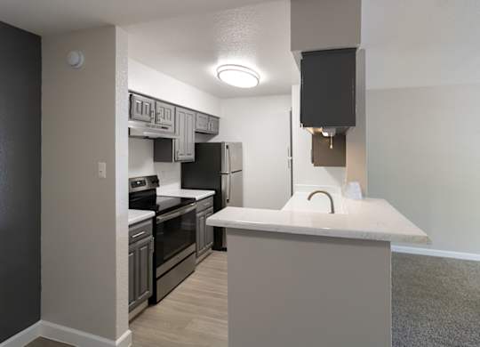 a renovated kitchen with stainless steel appliances, dark cabinets, and light countertops
