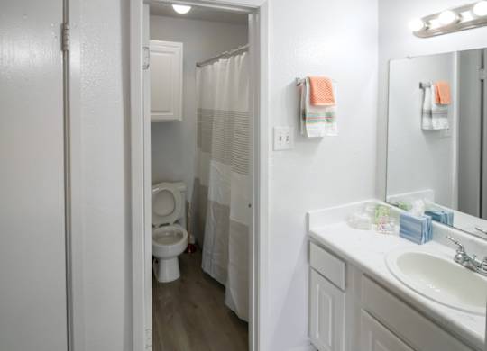 a bathroom with a sink and a toilet and a shower in a Pine Creek apartment home