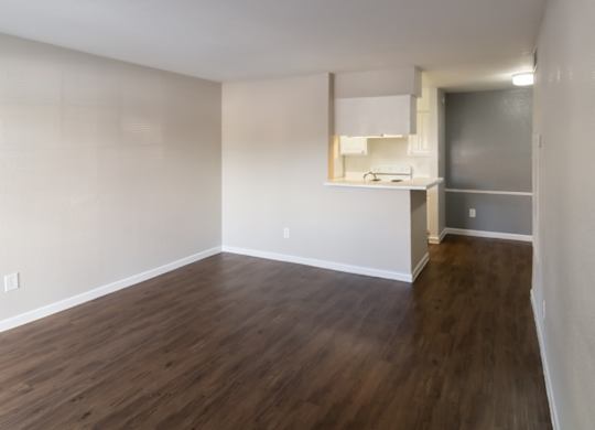 a large living room with wood-style flooring and kitchen access