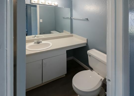 a bathroom with a toilet, sink vanity, and large mirror with a light kit