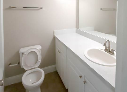 a bathroom with a toilet and a sink vanity and a mirror
