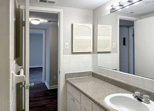 a bathroom with a sink and a mirror at Spring Lake Cove Apartments, Birmingham