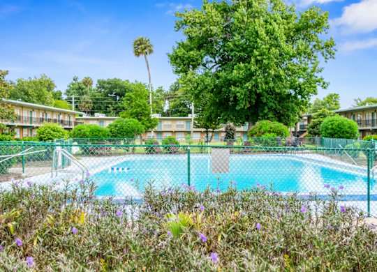 A beautiful swimming pool surrounded by trees and bushes in the courtyard at Park Apartments in Daytona Beach, FL