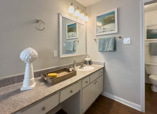 a large bathroom with a sink, expansive vanity, and a mirror with light kit