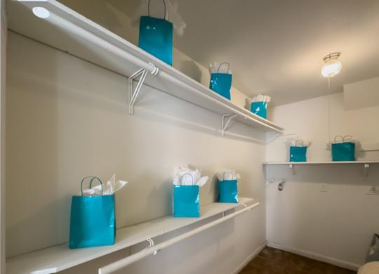 a huge walk-in closet with built-in shelving in an apartment at Waters at Westchase
