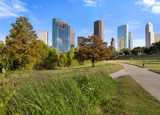 A city skyline is seen through a grassy area.