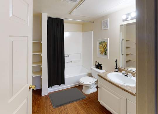 Bathroom at Paradise Oaks apartments in Austin TX