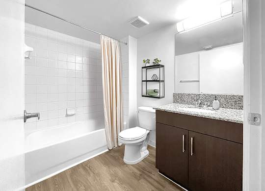 Bathroom at Cedar Grove Apartments in Miami FL