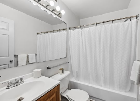 a bathroom with a sink toilet and a shower