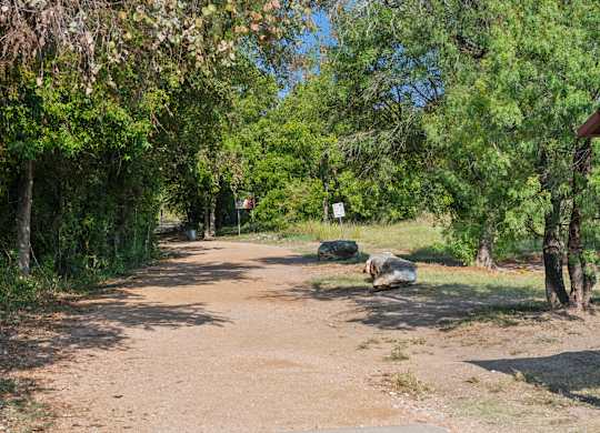 A dirt road is surrounded by trees and shrubs.