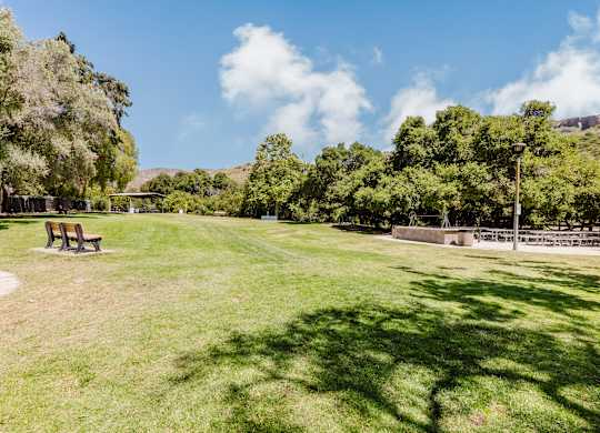 Large green park near CALIXA Apartment Homes in Camarillo CA