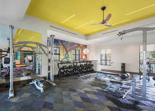 Fitness center weights at CALIXA Apartment Homes in Camarillo CA