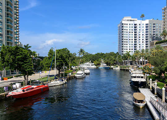 A marina with boats docked and palm trees in the background.